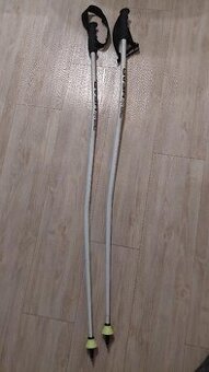 Lyžařské Race hůlky Head Rebels SG Worldcup, 120cm