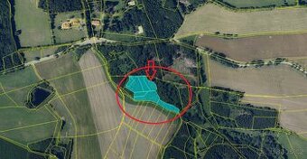 Prodej lesních pozemků k.ú. Líšná