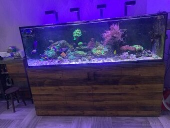 Mořské akvárium 1000l