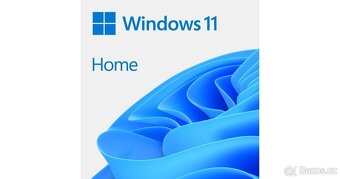 Windows 10/11 Professional / Home