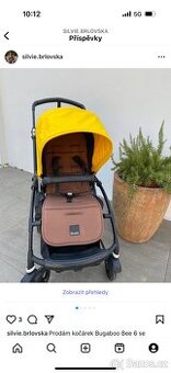 Bugaboo bee