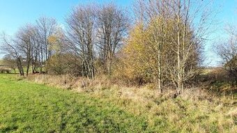 Stavební pozemek Křižanov u Zábřehu