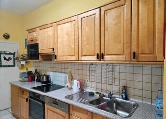 Kuchyně z březového dřeva se spotřebiči,5819