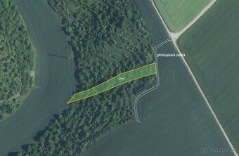 Sady, vinice, prodej, Uherčice, Břeclav - 1