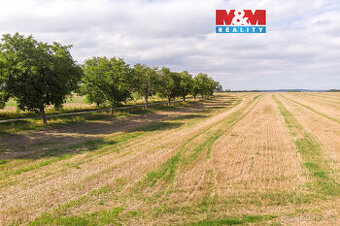 Prodej pozemku k bydlení, 1964 m², Brumovice