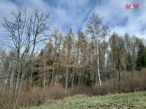 Prodej lesa, 5083 m², Zálezly - Setěchovice