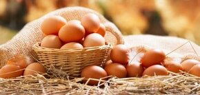 Prodej domácích BIO vajec (přebytků)