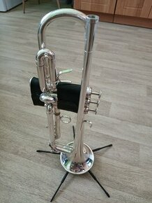 Trumpeta B