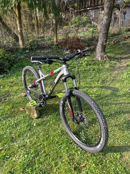 CTM ZEPHYR 2019