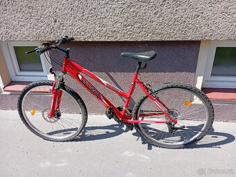 Olpran 24"