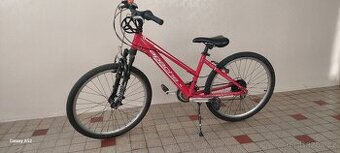 Kolo Apache Starlight 24