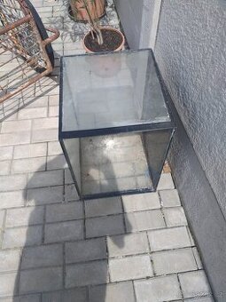 Daruji terárium