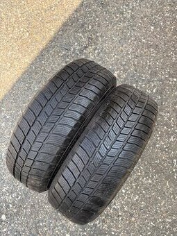 Zimní pneu 195/65R15