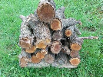 Dřevo meruňkové suché na uzení