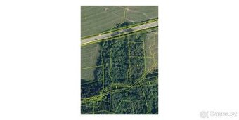 Prodej lesa - k.ú. Hrabačov