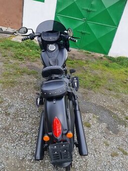 INDIAN Chief Dark Horse