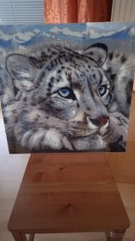 Obraz - leopard