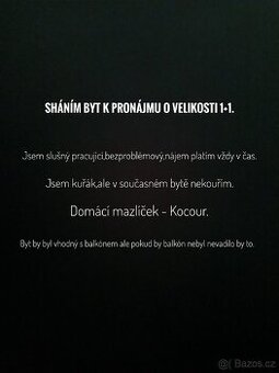BYT K PRONÁJMU 1+1 (ČÍST POPIS)