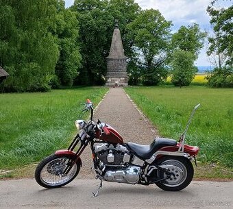 FXSTC EVO
