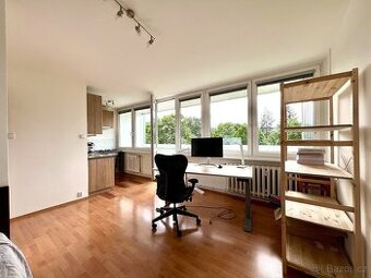 Pronájem byty 1+kk, 27 m2 - Praha - Karlín, ev.č. 00044
