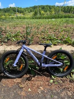 Specialized Riprock 20’