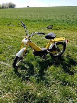 Babeta 207