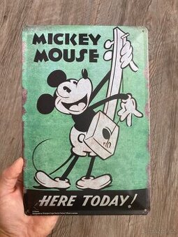 Cedulka Mickey Mouse