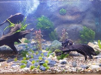 Prodám velké akvárium 700 litrů