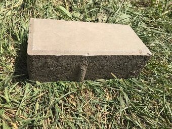 Zámková dlažba 10x20x6