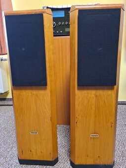 Tannoy D300 - 1