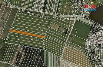 Prodej louky, 2885 m², Velenov - 1