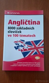 Angličtina 8000 slovíček ve 100 tématech