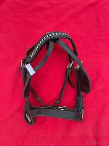 Vozatajská uzdečka