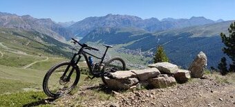 Giant REIGN 29 1 2020