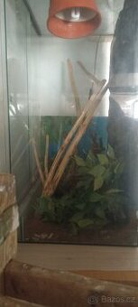 Terárium 80x60x40 cm