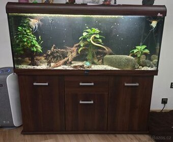 Akvarium Diversa Solid 450