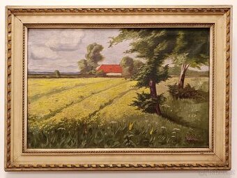 Obraz, Žluté pole, olej na plátně 48x56