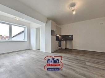 Pronájem nově rekonstruovaného bytu 3+kk, 53 m2 - České Budě