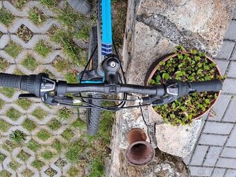 Kolo 24"