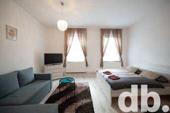 Pronájem bytu 2+kk 45 m2, Karlovy Vary - Stará Role
