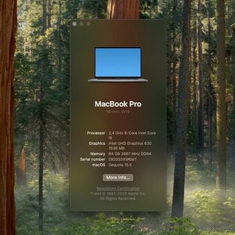 Apple Macbook Pro (2019, Intel i9, 64GB)