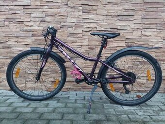 Dětské kolo AMULET TOMCAT 24