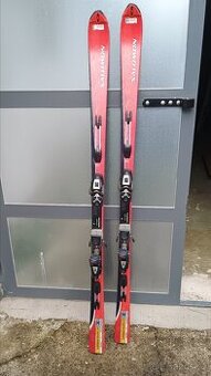 Prodám lyže Salomon a lyžáky Tecnica vel.45 i samostatně.