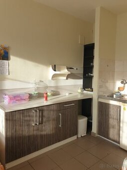 Pronájem bytu 1+kk Povel