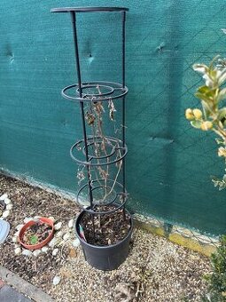 Květináče na rajčata