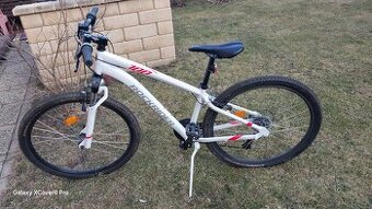 Rockrider 100