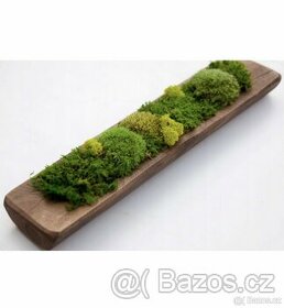 Mechová dekorace na stůl 40x10 Cm