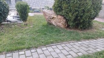 Okrasné solitéry