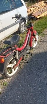 Manet korado babeta moped