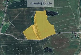 Prodej pole v k.ú. Smrkovice